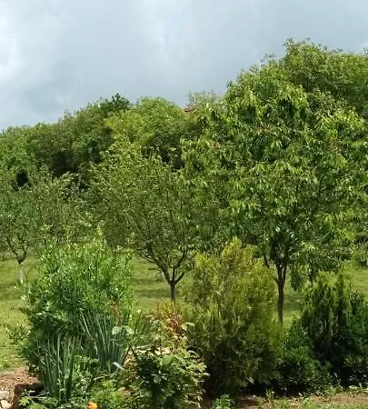 При Шивача Tatil Evi
